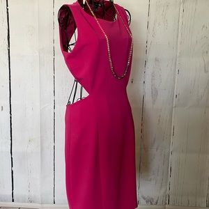 Forever 21 Fuschia Dress